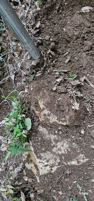 해오름달님의 자유주제 · 자유게시판 작성글 사진