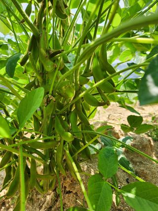 보은 김영순님의 자유주제 · 자유게시판 작성글 사진