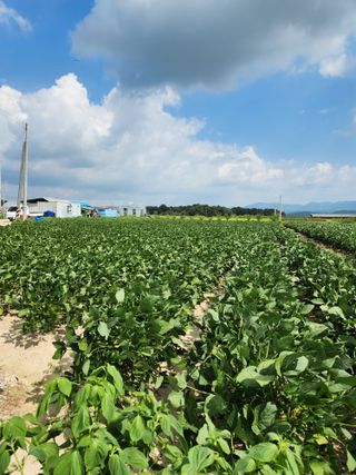 보은 김영순님의 자유주제 · 자유게시판 작성글 사진