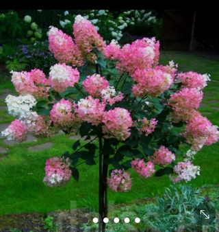 신광선님의 자유주제 · 자유게시판 작성글 사진