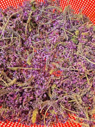 선영~~님의 자유주제 · 자유게시판 작성글 사진