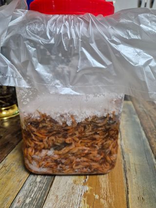 선영~~님의 자유주제 · 자유게시판 작성글 사진