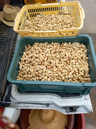 김영문님의 자유주제 · 자유게시판 작성글 사진