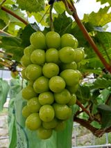 팜모닝 자유주제·자유게시판 게시글 이미지