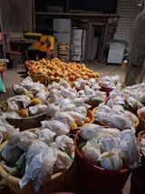 팜모닝 자유주제·자유게시판 게시글 이미지