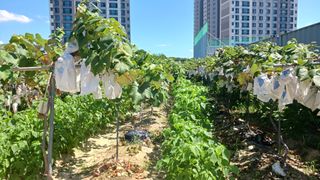 조항규님의 자유주제 · 자유게시판 작성글 사진