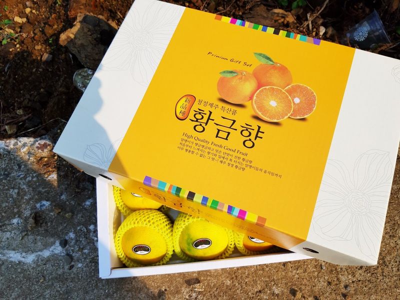 새달귤농장님의 장터 판매 상품 [추석선물 황금향 선물용] 첨부 사진
