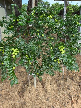 자연인님의 자유주제 · 자유게시판 작성글 사진