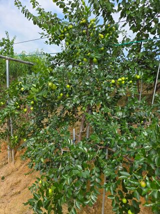 자연인님의 자유주제 · 자유게시판 작성글 사진