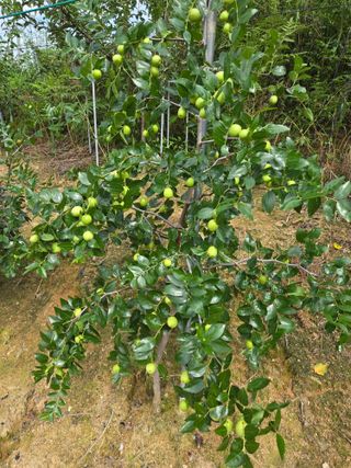 자연인님의 자유주제 · 자유게시판 작성글 사진