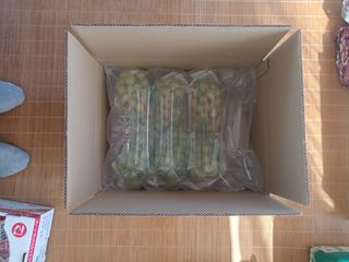 박철수(샤인머스켓)님의 작성글 사진