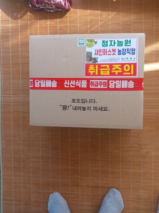 박철수(샤인머스켓)님의 작성글 사진