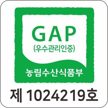 박철수(샤인머스켓)님의 장터 판매 상품 [샤인머스켓 ] 첨부 사진