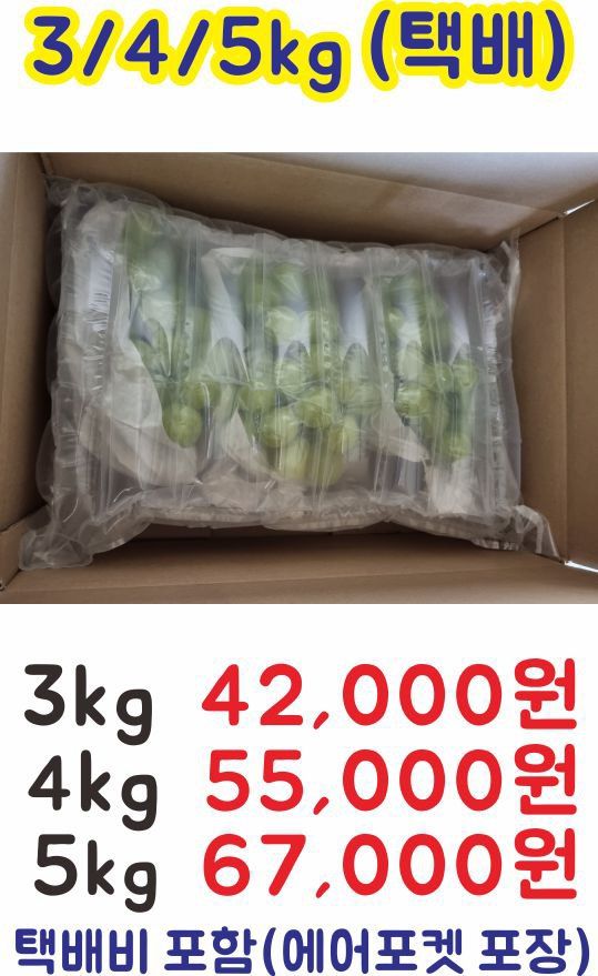 박철수(샤인머스켓)님의 장터 판매 상품 [샤인머스켓 ] 첨부 사진