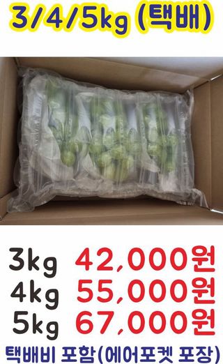 박철수(샤인머스켓)님의 작성글 사진