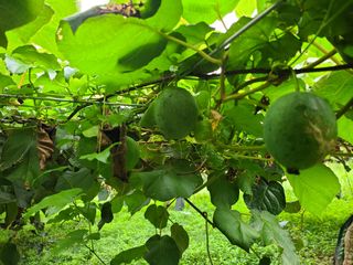 노고단님의 자유주제 · 자유게시판 작성글 사진