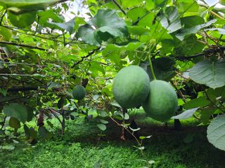 노고단님의 자유주제 · 자유게시판 작성글 사진