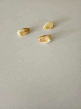 충남공주이도은님의 자유주제 · 자유게시판 작성글 사진