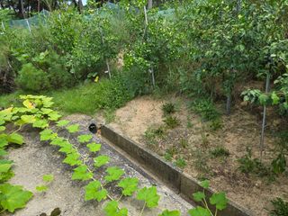 자연인님의 자유주제 · 자유게시판 작성글 사진