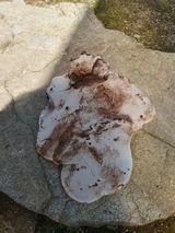 팜모닝 자유주제·자유게시판 게시글 이미지