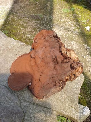 매실15869님의 자유주제 · 자유게시판 작성글 사진