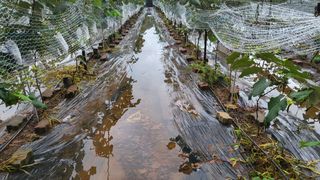 김지춘님의 팜모닝 · 출석 작성글 사진