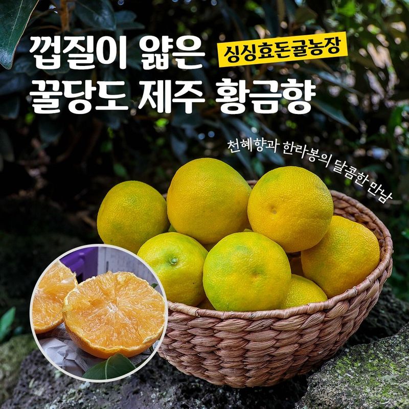 새달귤농장님의 장터 판매 상품 [추석선물 황금향(실속형)] 첨부 사진