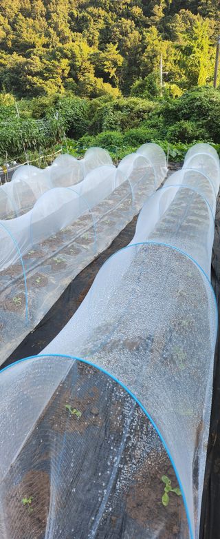 아젤리아님의 9월 농사계획 공유하기 · 참여글 작성글 사진