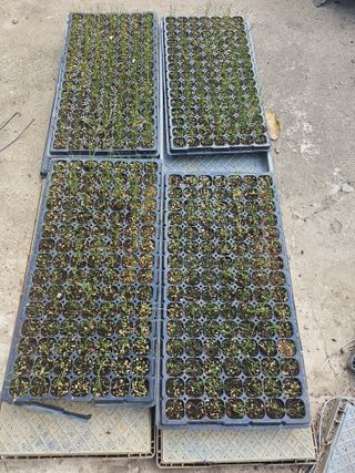 오영관님의 9월 농사계획 공유하기 · 참여글 작성글 사진