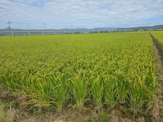 오영관님의 9월 농사계획 공유하기 · 참여글 작성글 사진