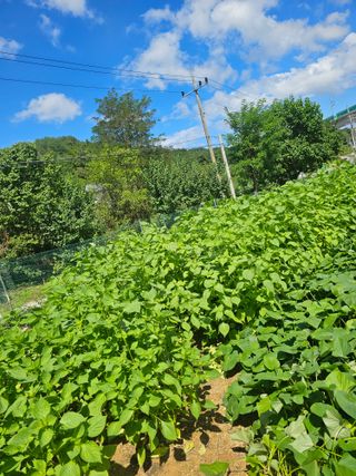 알 수 없음님의 9월 농사계획 공유하기 · 참여글 작성글 사진