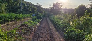 차동근님의 자유주제 · 자유게시판 작성글 사진