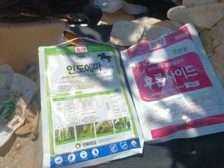 오영도님의 자유주제 · 자유게시판 작성글 사진