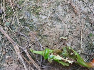 오영도님의 자유주제 · 자유게시판 작성글 사진