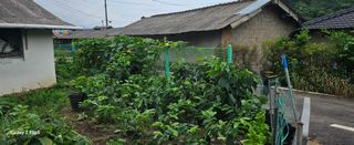 박봉동님의 자유주제 · 자유게시판 작성글 사진