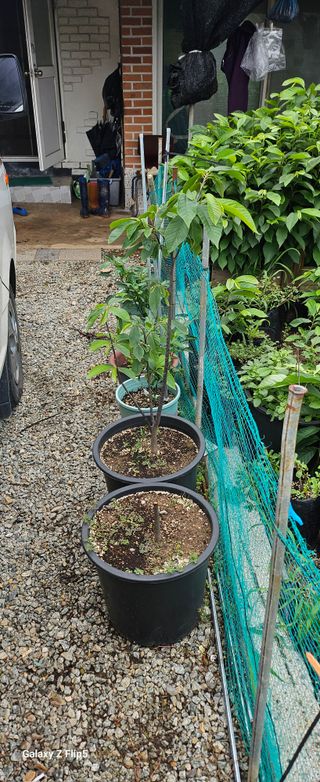 박봉동님의 자유주제 · 자유게시판 작성글 사진