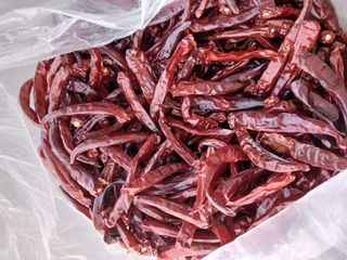 서병일님의 자유주제 · 자유게시판 작성글 사진