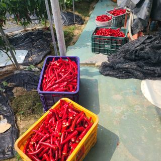 서병일님의 자유주제 · 자유게시판 작성글 사진