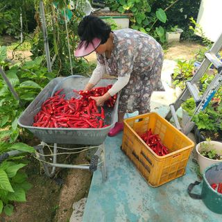 서병일님의 자유주제 · 자유게시판 작성글 사진