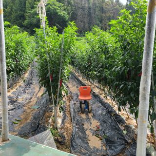 서병일님의 자유주제 · 자유게시판 작성글 사진