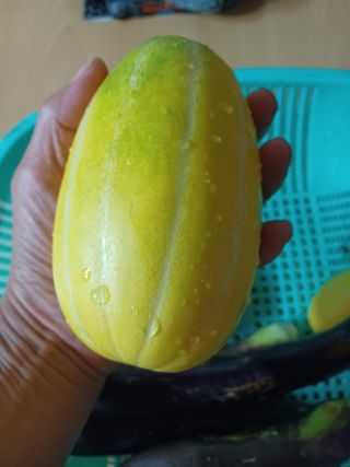 무료지식나눔 팜닥터님의 자유주제 · 자유게시판 작성글 사진