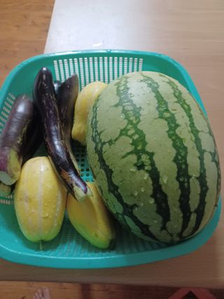 무료지식나눔 팜닥터님의 자유주제 · 자유게시판 작성글 사진