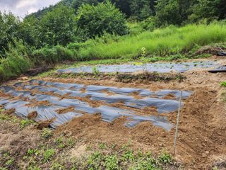 초원농원님의 9월 농사계획 공유하기 · 참여글 작성글 사진