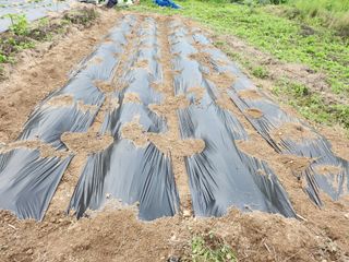 초원농원님의 9월 농사계획 공유하기 · 참여글 작성글 사진