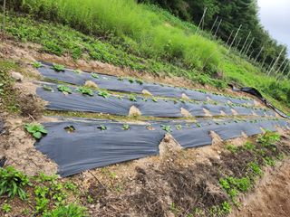 초원농원님의 9월 농사계획 공유하기 · 참여글 작성글 사진