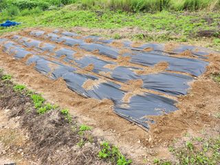 초원농원님의 9월 농사계획 공유하기 · 참여글 작성글 사진