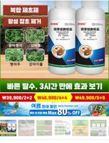 팜모닝 자유주제·사진전 게시글 이미지