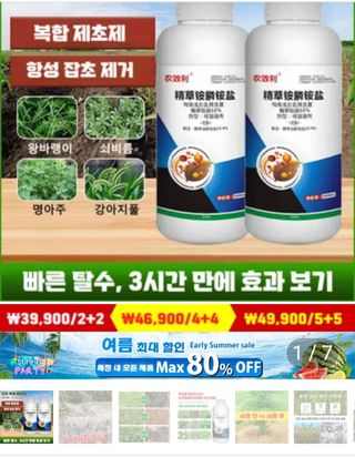 서해.님의 자유주제 · 사진전 작성글 사진