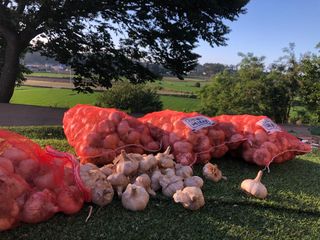 조새힘님의 작성글 사진