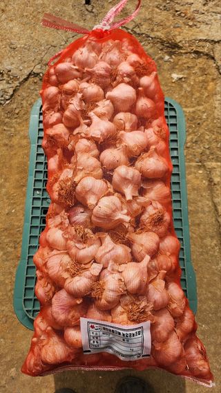 조새힘님의 작성글 사진